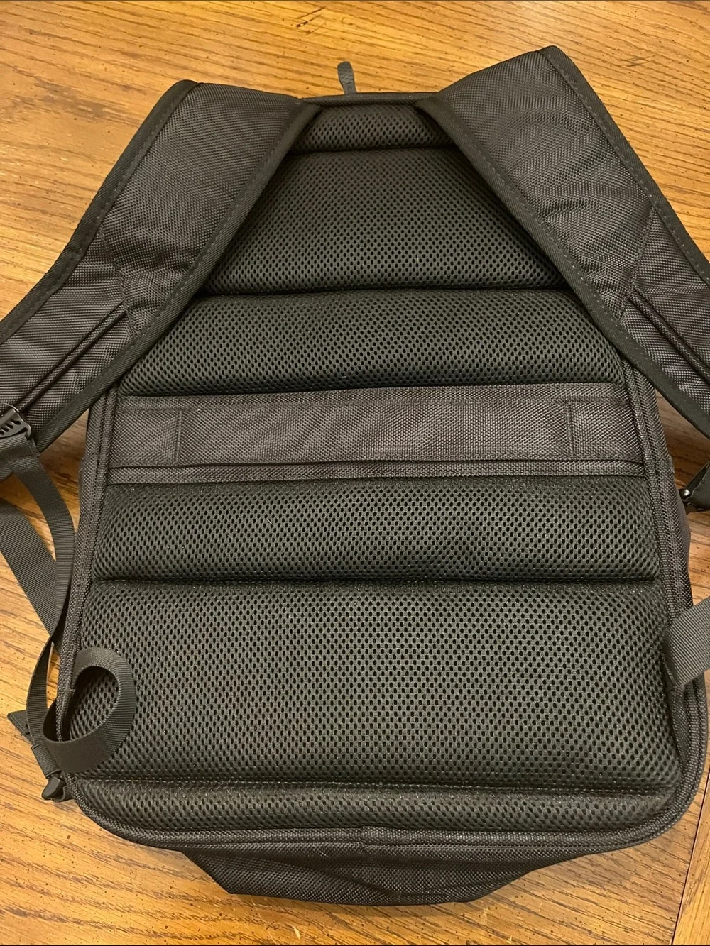 Codi fortis 15